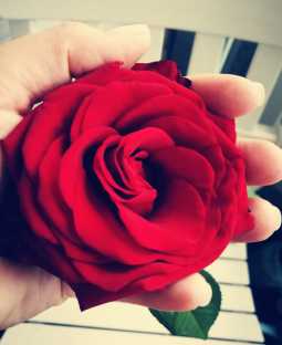 Seminar Tantramassage im Kreis der Frauen II