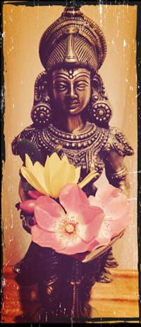 Seminar Tantramassage im Kreis der Frauen